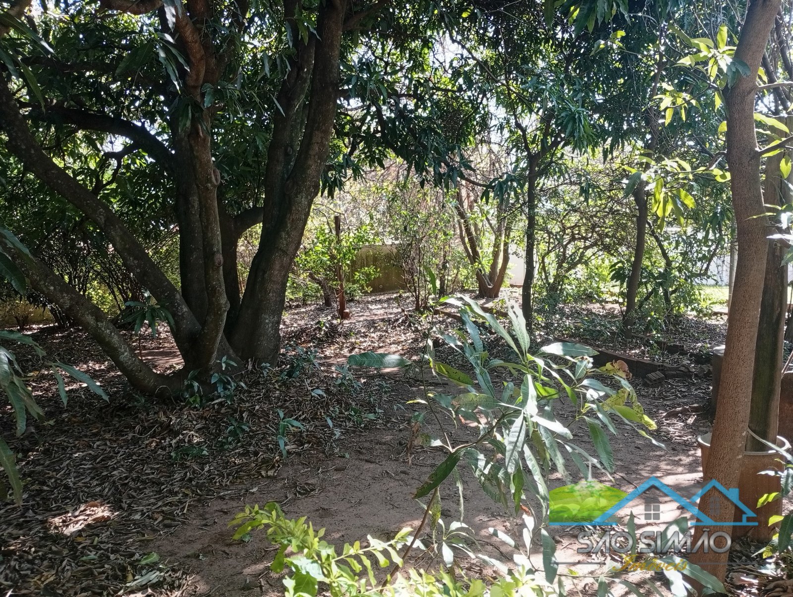 Belíssimo imóvel à venda em São Simão SP - 3 quartos sendo 2 suítes