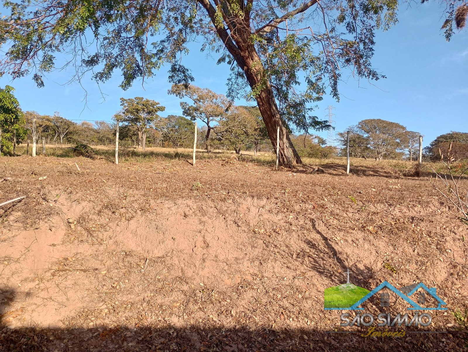Sítio a venda em São Simão SP,  oportunidade rara