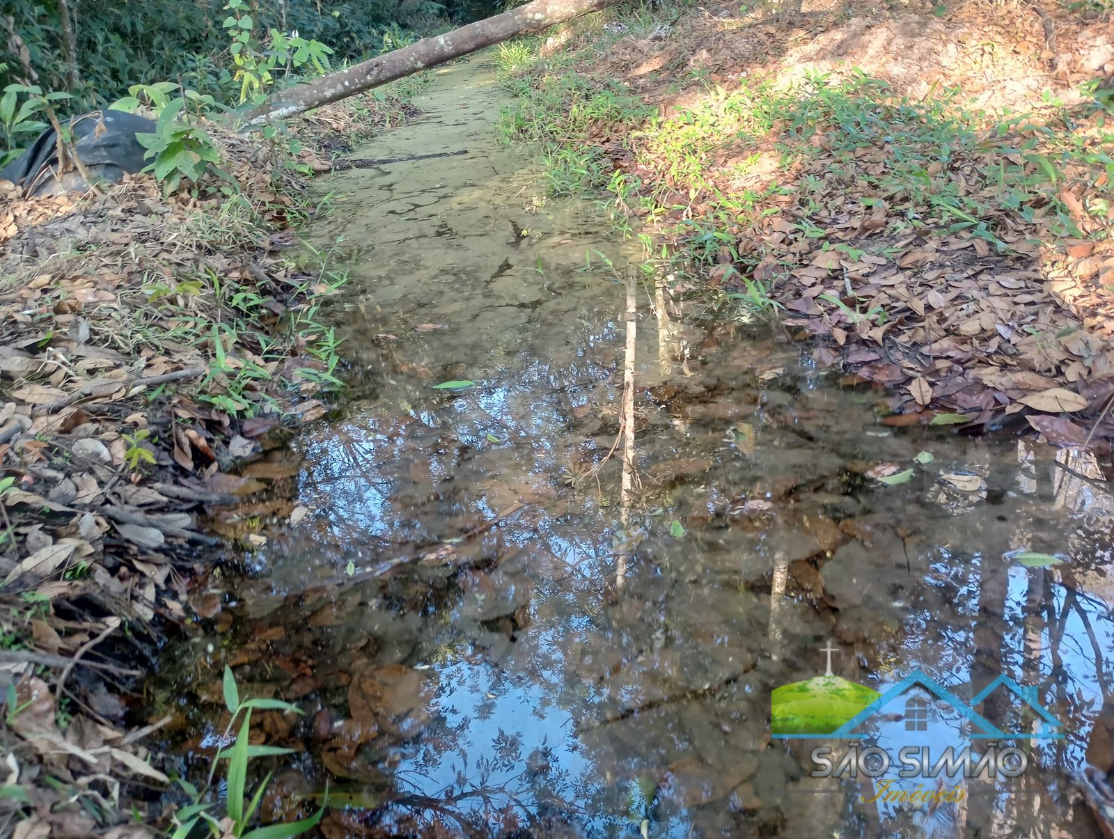 Sítio a venda em São Simão SP,  oportunidade rara