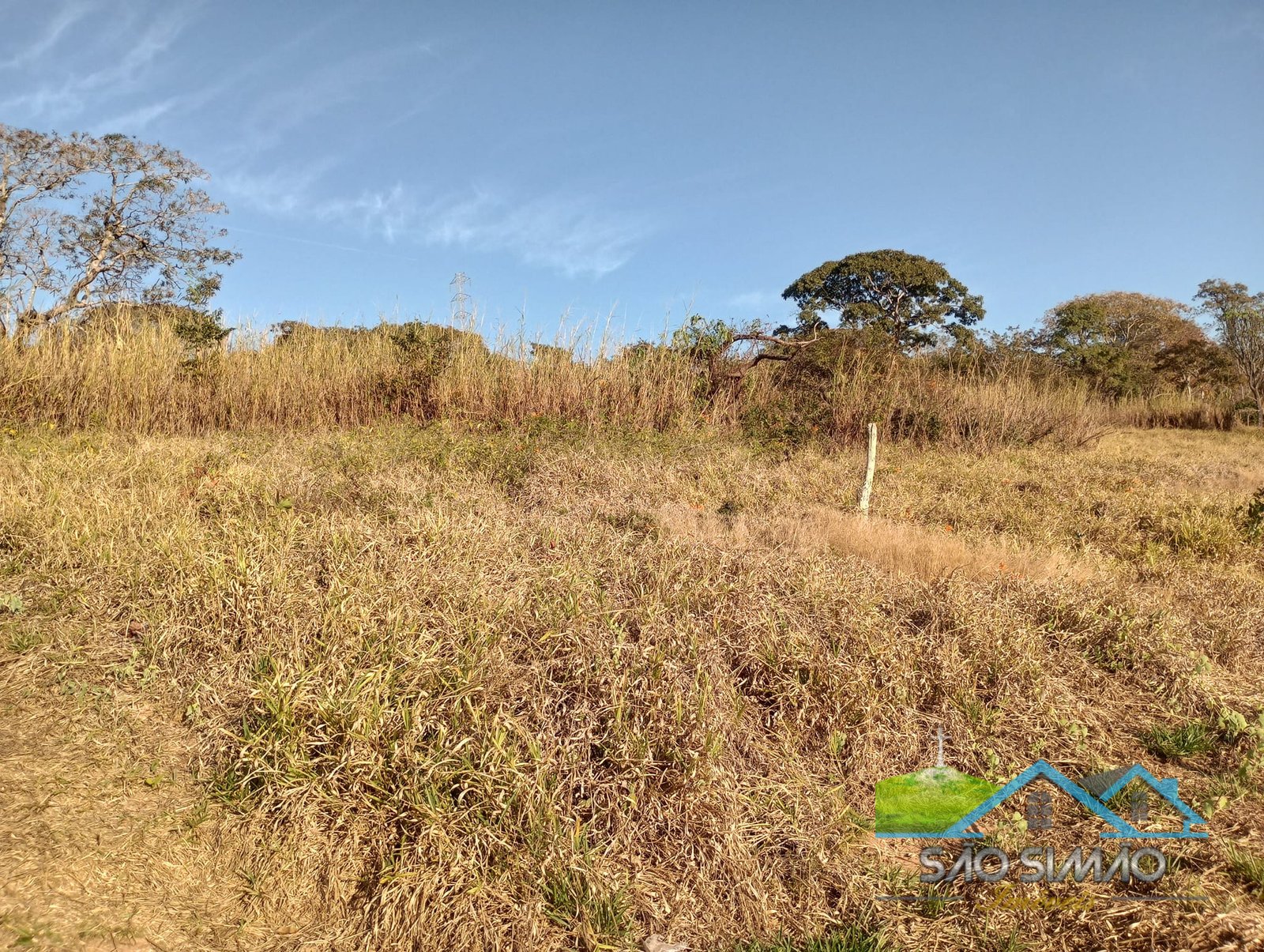 Sítio a venda em São Simão SP,  oportunidade rara