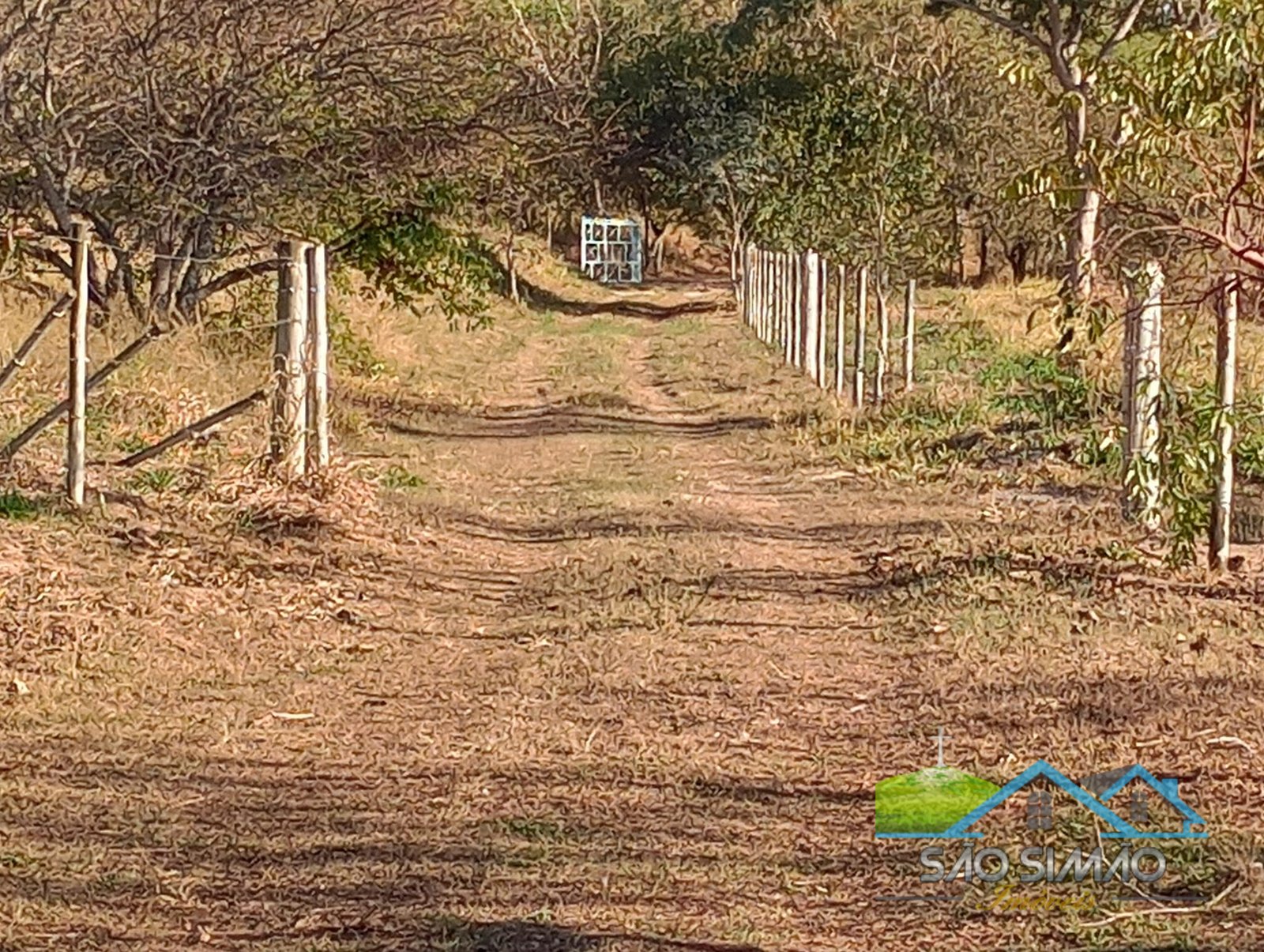 Sítio a venda em São Simão SP,  oportunidade rara