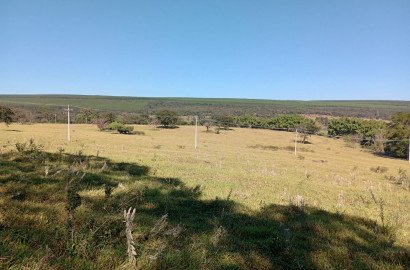 Terreno a venda em São Simão com 7 alqueires