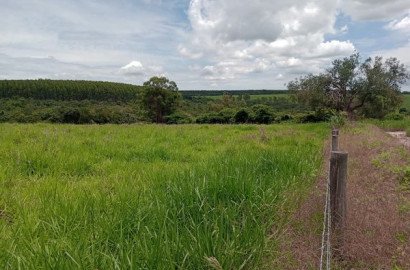 Sítio 2,5 alqueires em São Simão SP