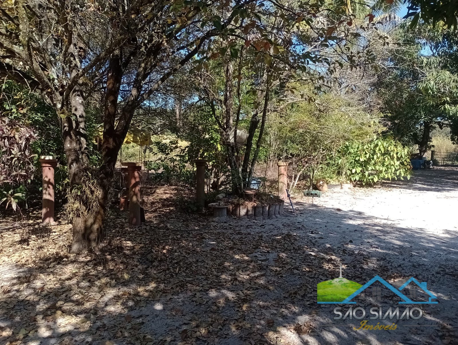 Sítio 5 alqueires a venda em São Simão SP