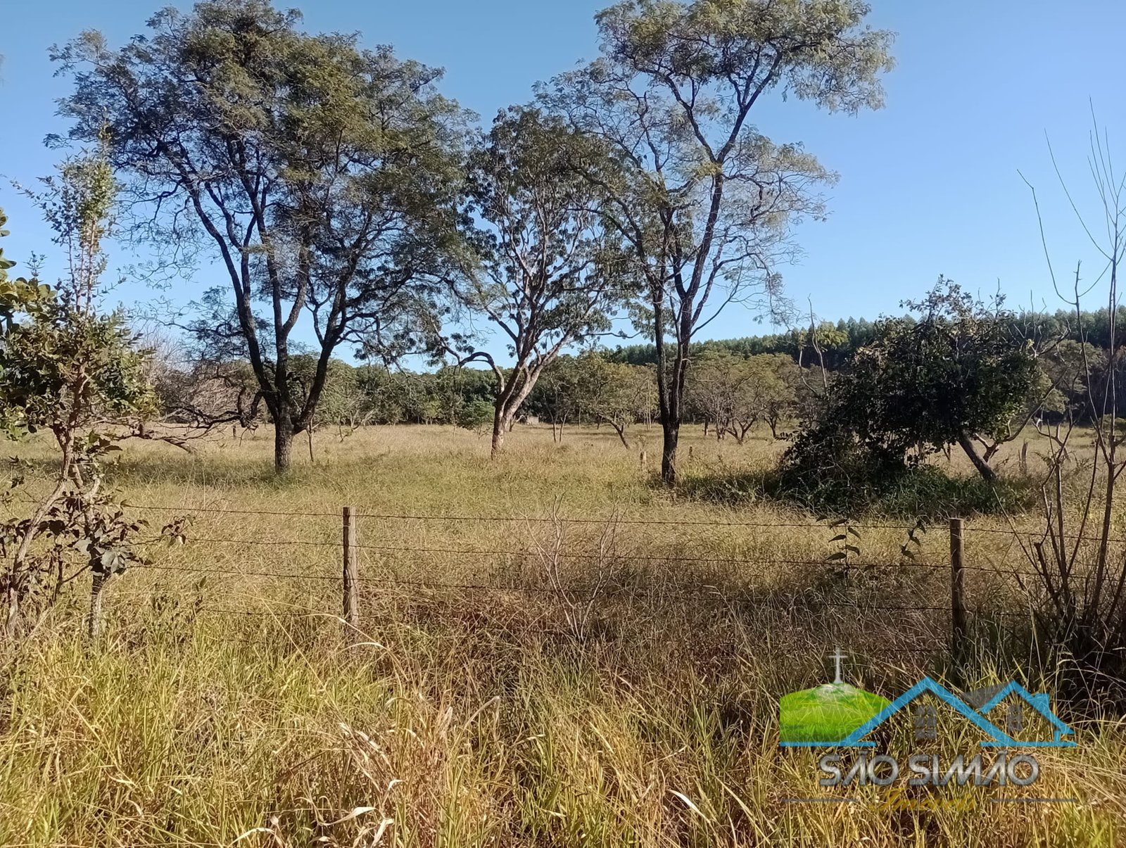 Sítio 5 alqueires a venda em São Simão SP