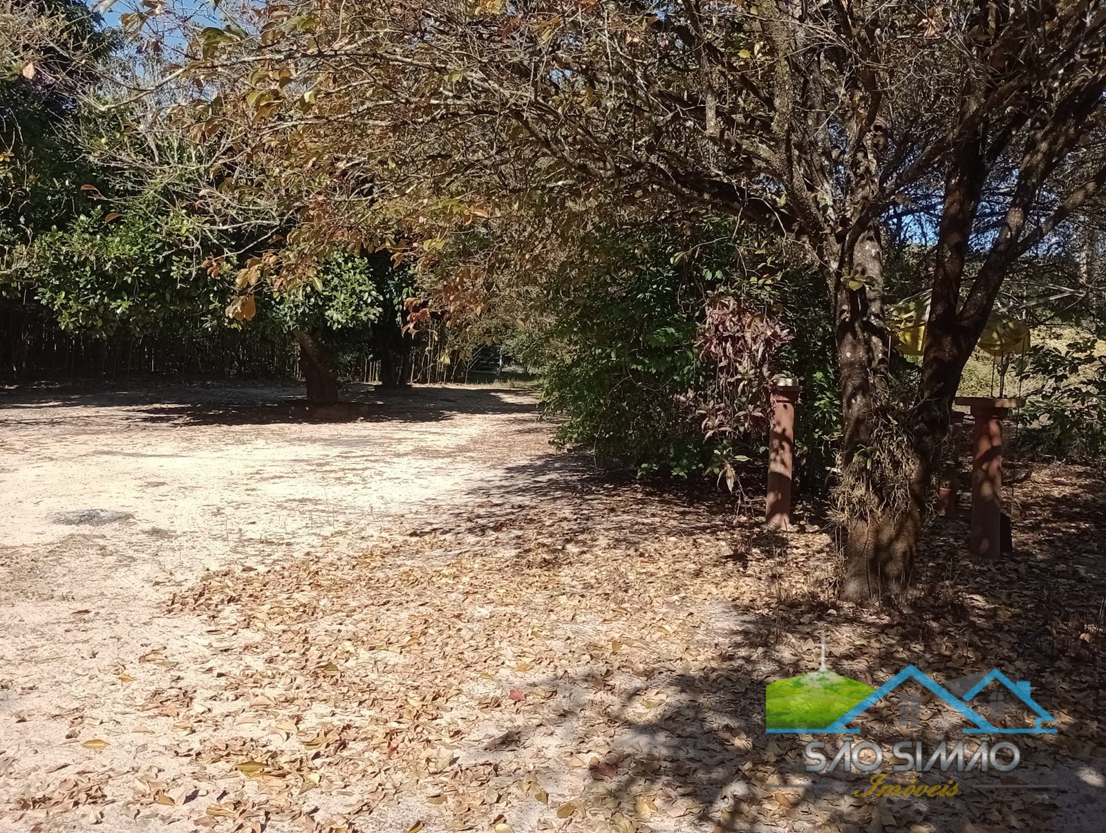 Sítio 5 alqueires a venda em São Simão SP