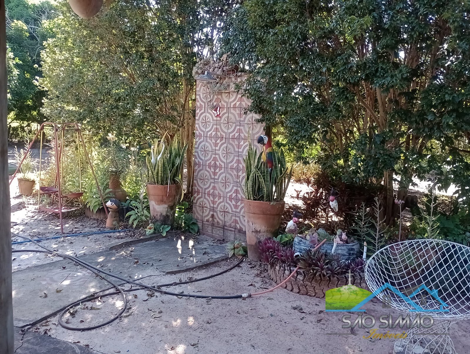 Sítio 5 alqueires a venda em São Simão SP