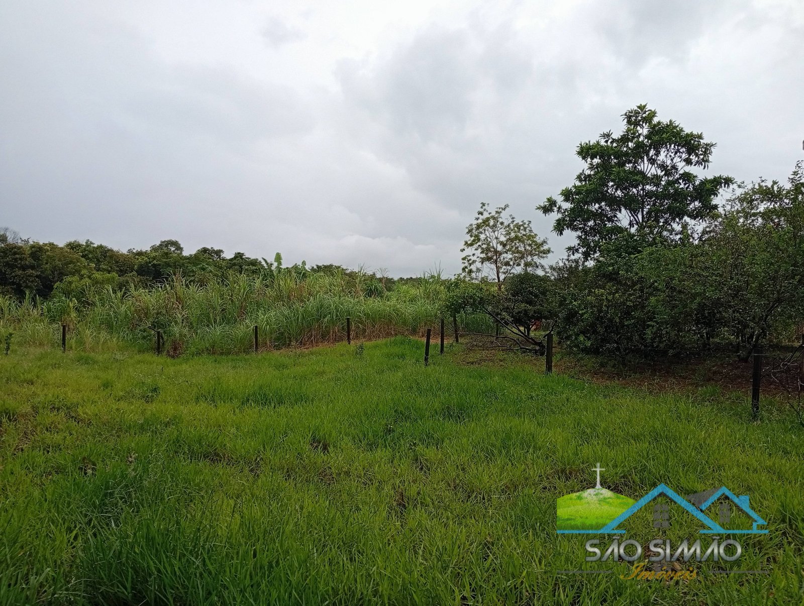 SÍTIO a venda em São Simão SP a 5 km da cidade